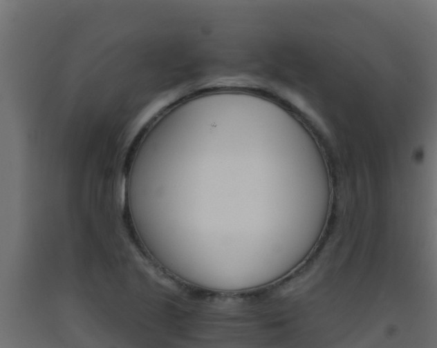 X0000093511221200710121056