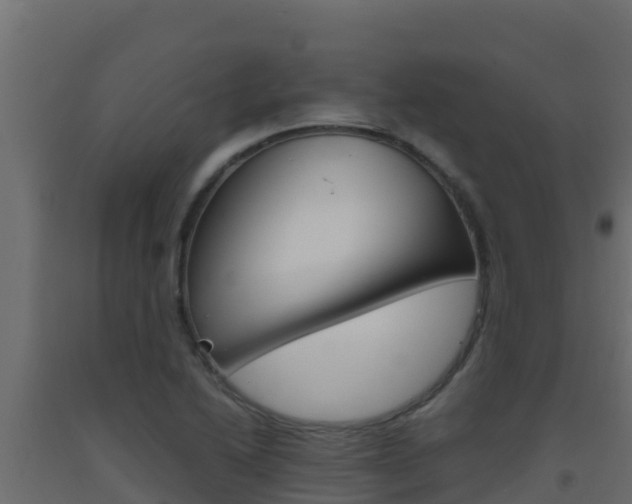 X0000093511222200710121056