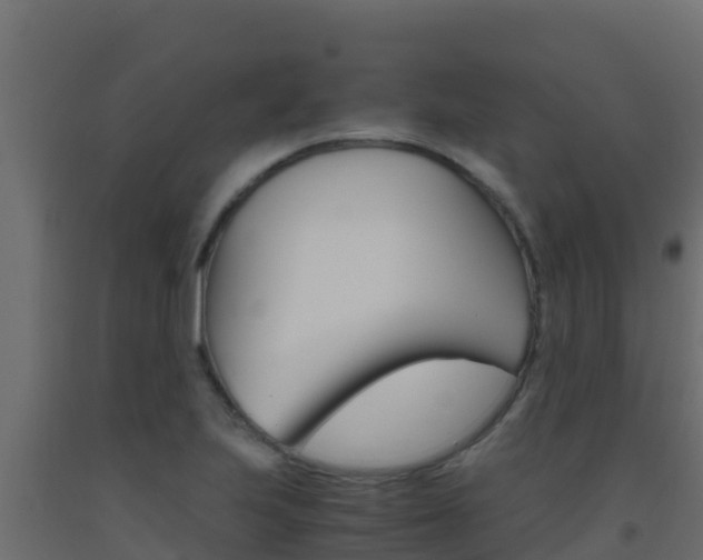 X0000093511223200710121056