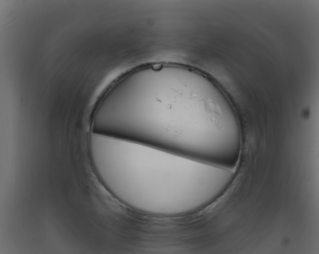 X0000093511224200710121056