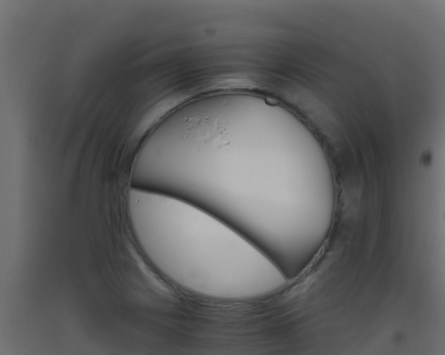X0000093511225200710121056