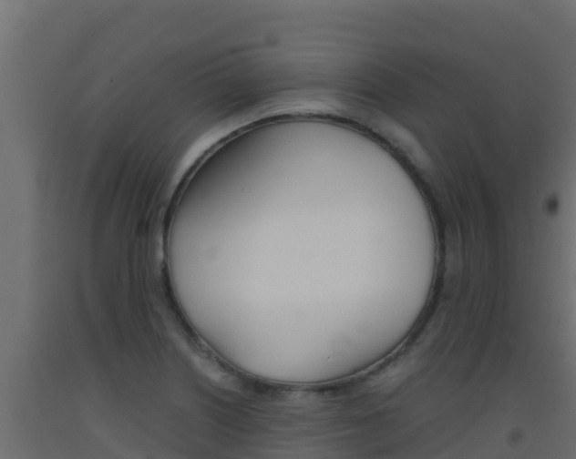 X0000093511226200710121056