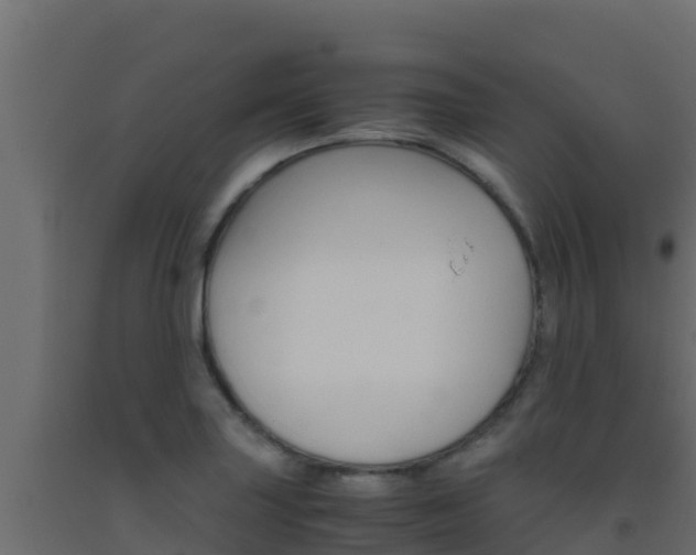 X0000093511227200710121056
