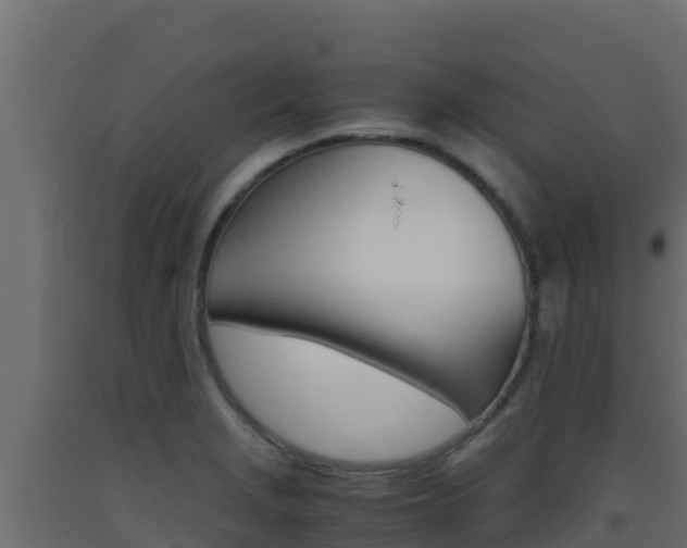 X0000093511229200710121056