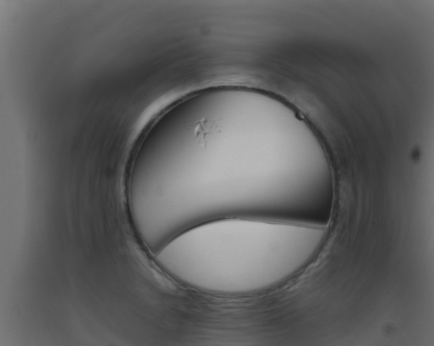 X0000093511230200710121056