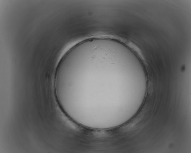 X0000093511231200710121056