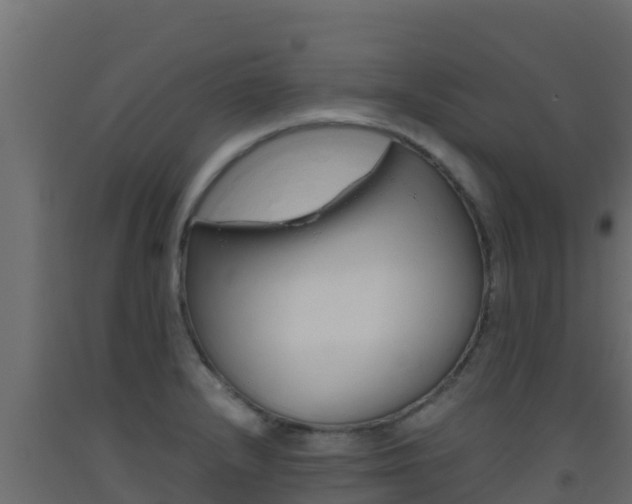 X0000093511232200710121056