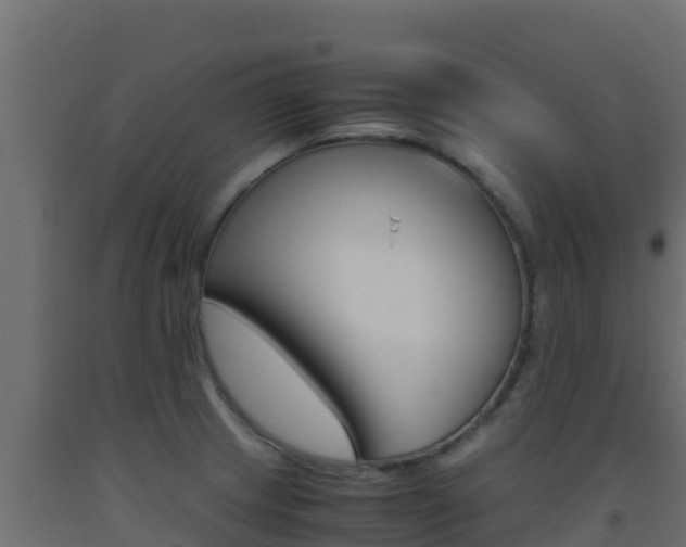 X0000093511233200710121056