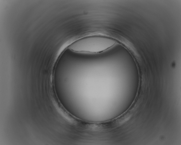 X0000093511234200710121056