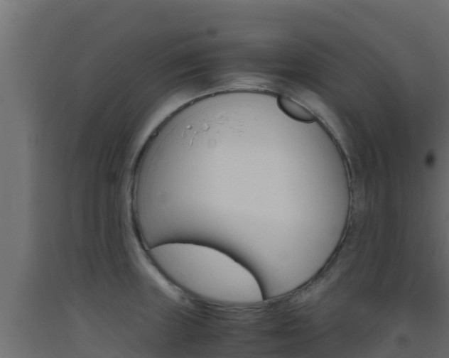 X0000093511235200710121056