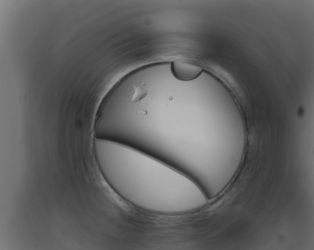 X0000093511236200710121056