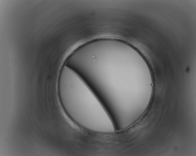 X0000093511237200710121056