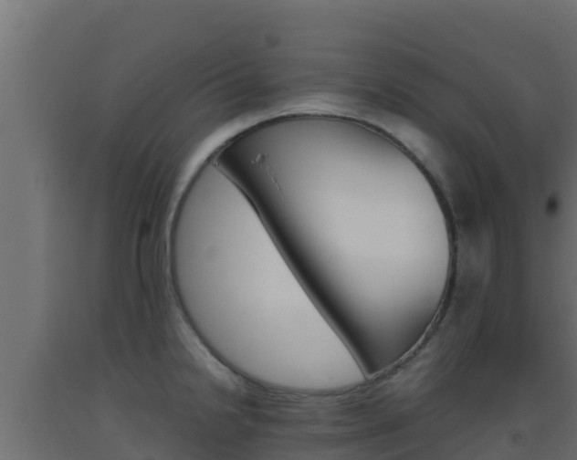 X0000093511238200710121056