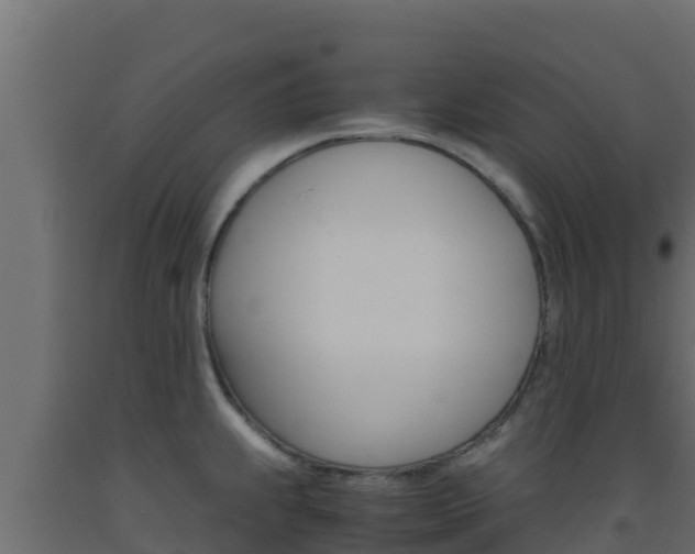 X0000093511239200710121056