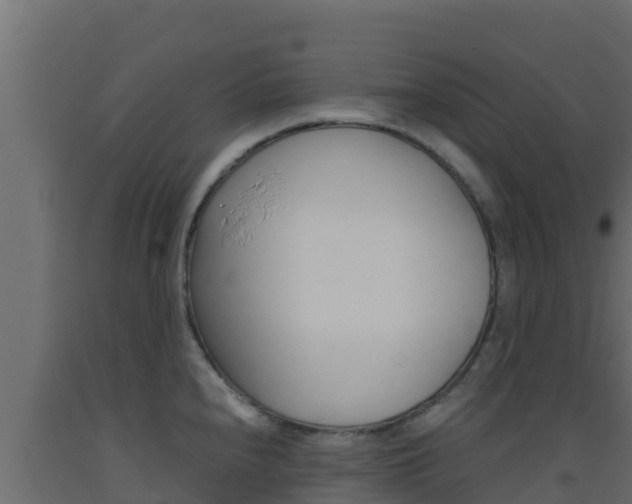 X0000093511240200710121057