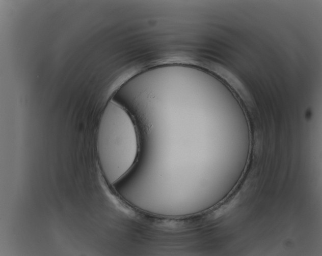 X0000093511241200710121057