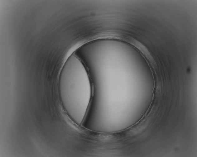 X0000093511242200710121057