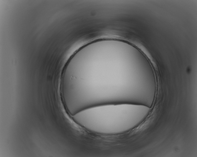 X0000093511245200710121057