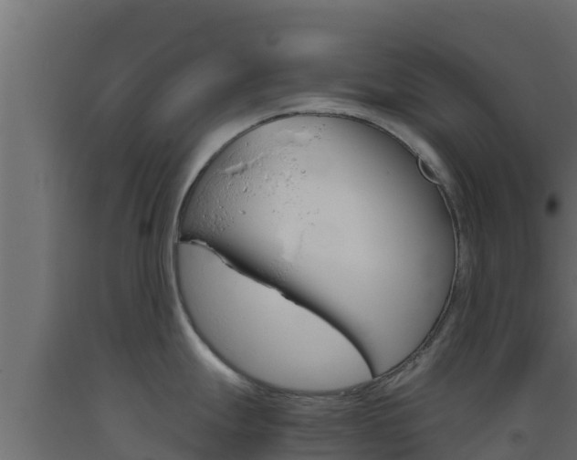 X0000093511247200710121057