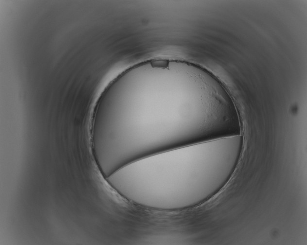 X0000093511248200710121057
