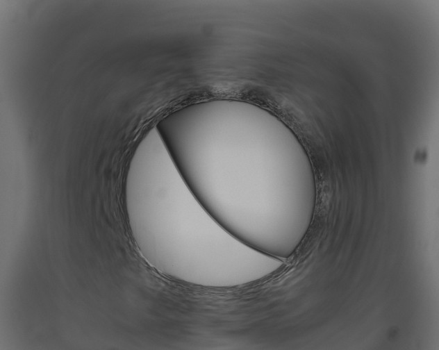 X0000093511249200710121056