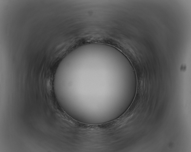 X0000093511250200710121056