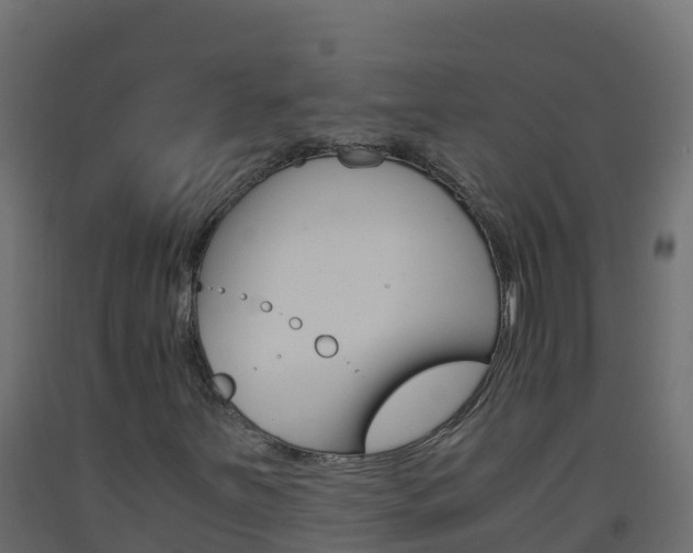 X0000093511251200710121056
