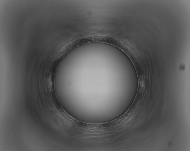 X0000093511252200710121056