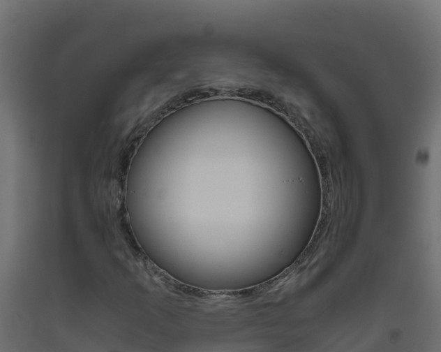 X0000093511253200710121056
