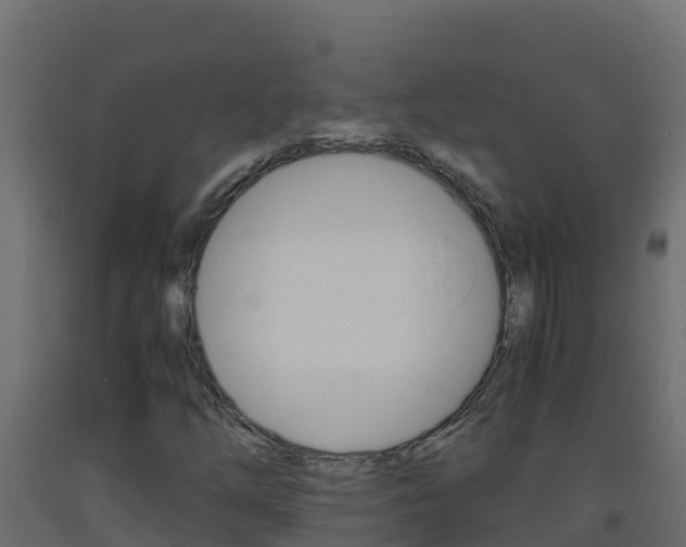 X0000093511254200710121056