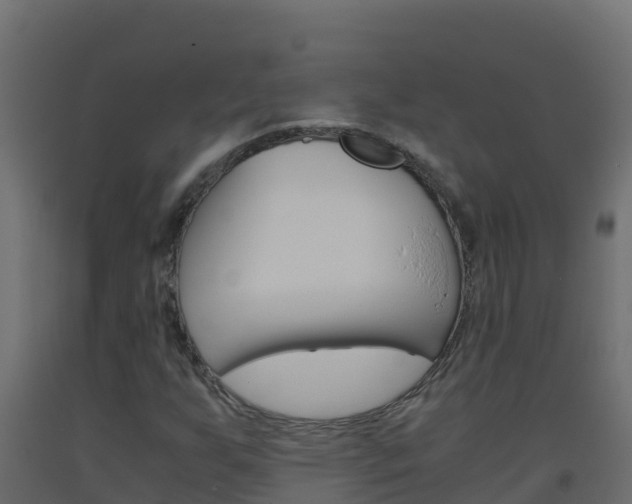 X0000093511255200710121056