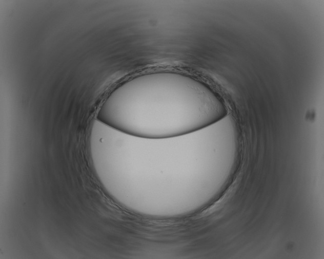 X0000093511257200710121056