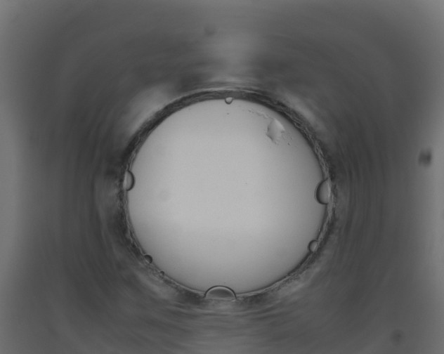 X0000093511259200710121056