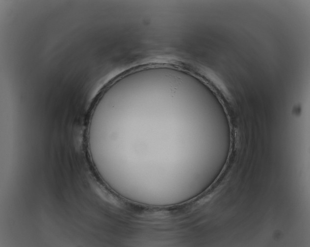 X0000093511260200710121056