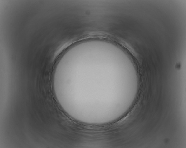 X0000093511261200710121056