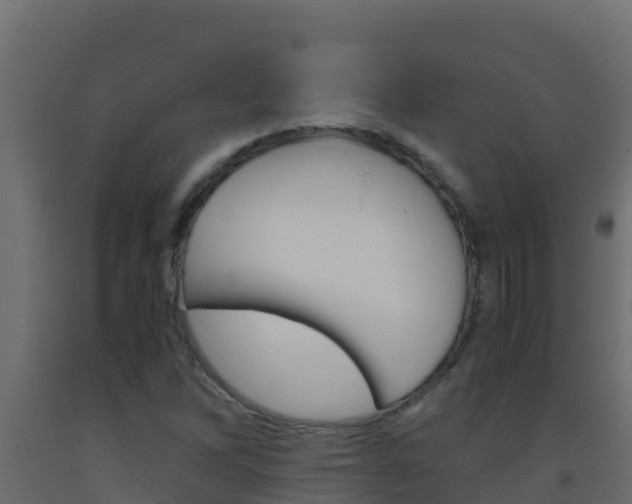 X0000093511262200710121056