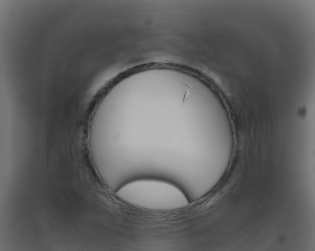 X0000093511263200710121056