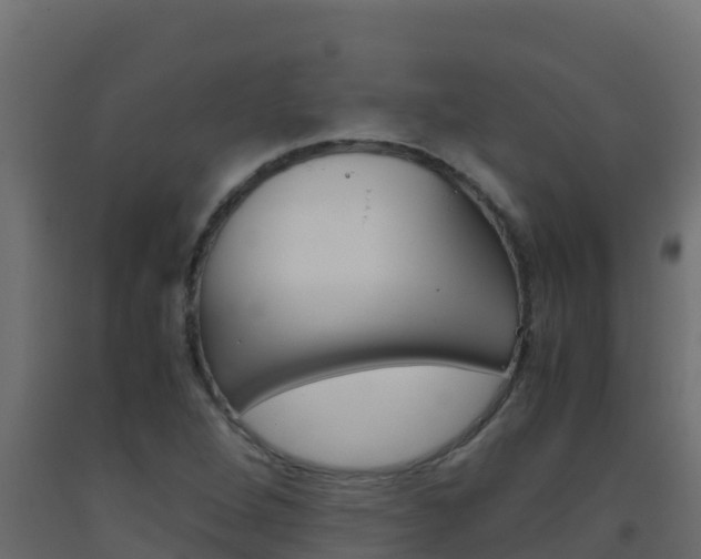 X0000093511264200710121056