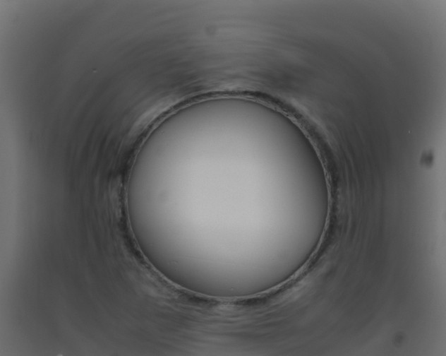 X0000093511265200710121056