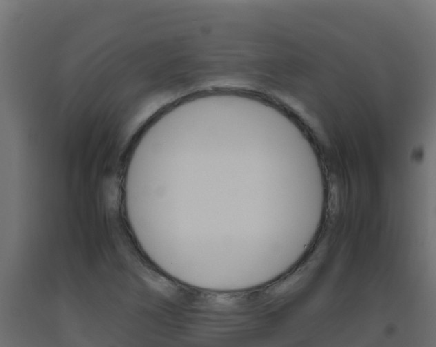 X0000093511266200710121056