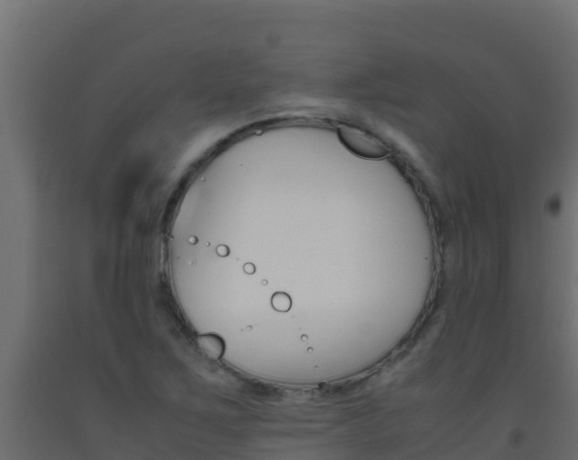 X0000093511267200710121056