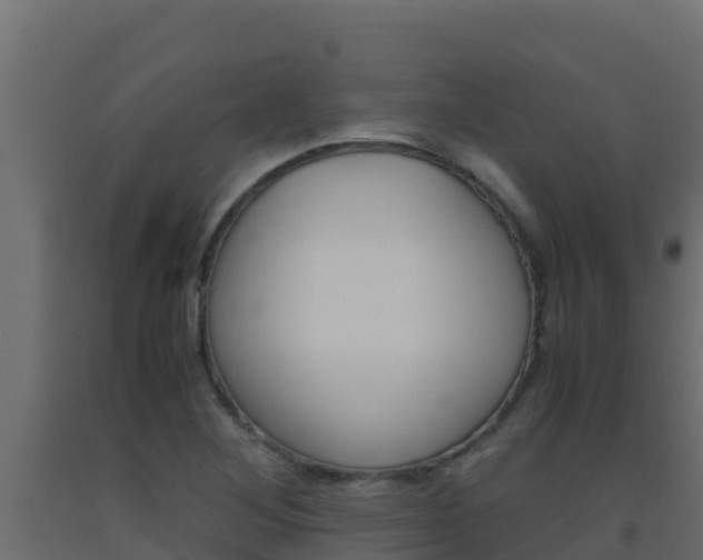 X0000093511268200710121056