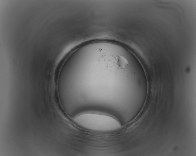 X0000093511270200710121056