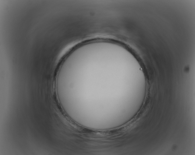 X0000093511271200710121056