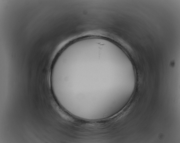 X0000093511272200710121056