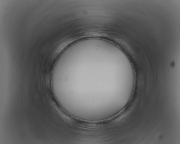 X0000093511273200710121056
