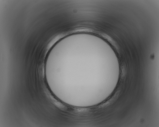 X0000093511274200710121056