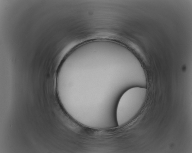 X0000093511275200710121056