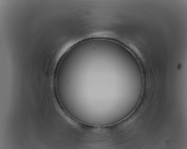 X0000093511277200710121056