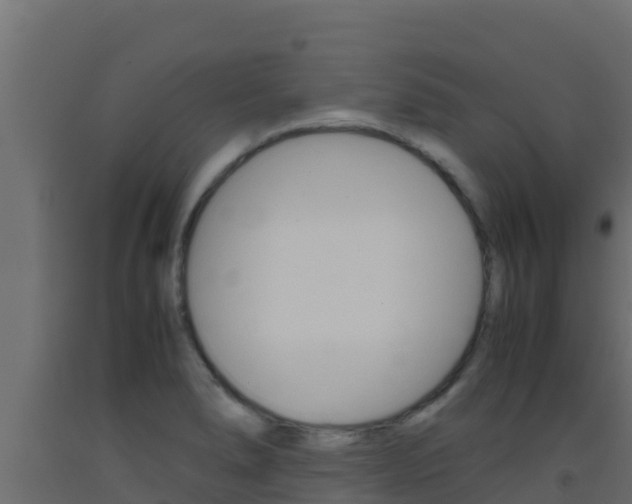 X0000093511278200710121056